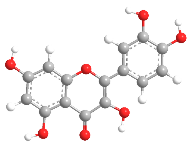 Unlocking the Power of Quercetin A Natural Cancer Fighter Divine Juicery & Nutrition